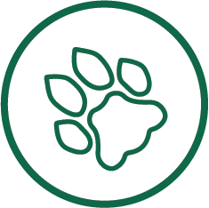 graphic displaying a paw print