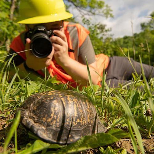 newbb电子平台 student in the field takes photographs of a turtle